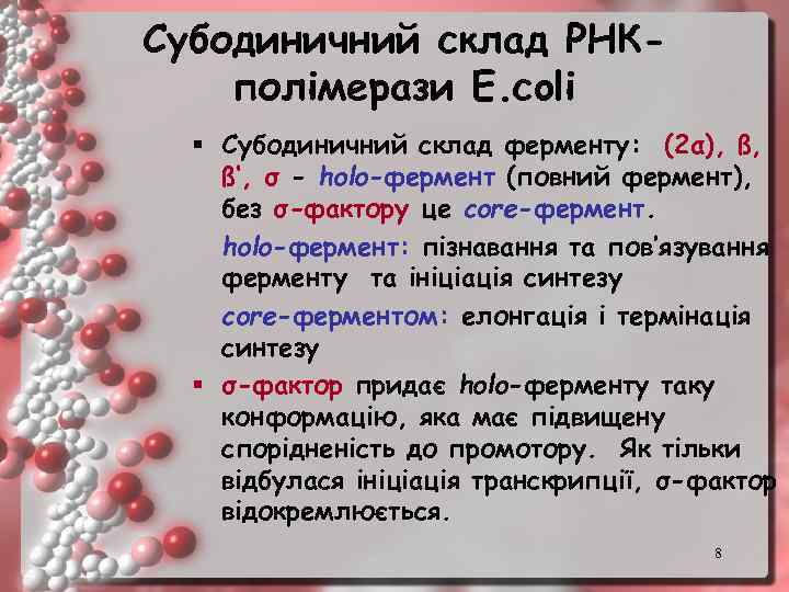 Субодиничний склад РНКполімерази Е. coli § Субодиничний склад ферменту: (2α), ß, ß‘, σ -