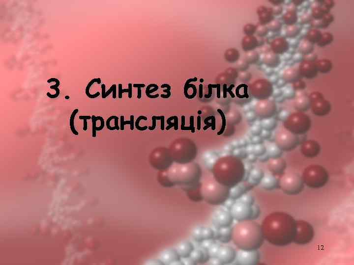 3. Синтез білка (трансляція) 12 