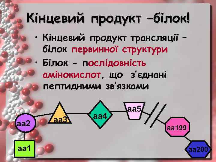 Кінцевий продукт –білок! • Кінцевий продукт трансляції – білок первинної структури • Білок -