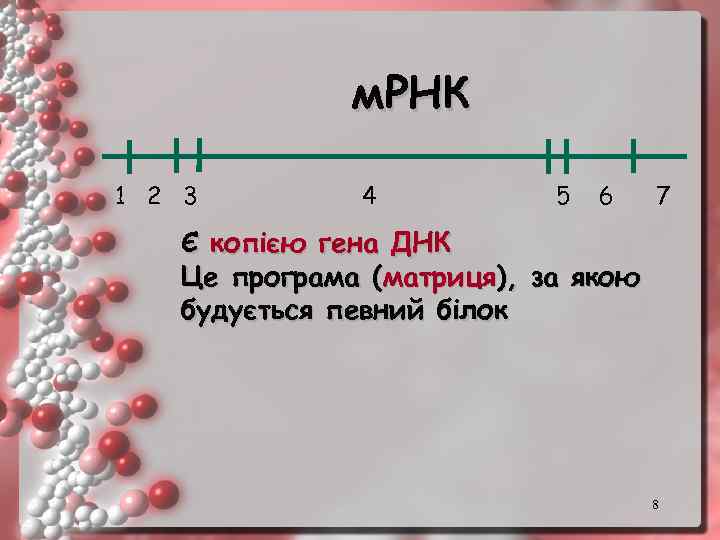 м. РНК 1 2 3 4 5 6 7 Є копією гена ДНК Це