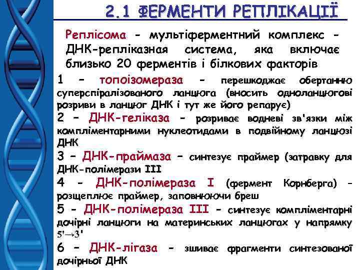 2. 1 ФЕРМЕНТИ РЕПЛІКАЦІЇ Реплісома - мультіферментний комплекс ДНК-репліказная система, яка включає близько 20