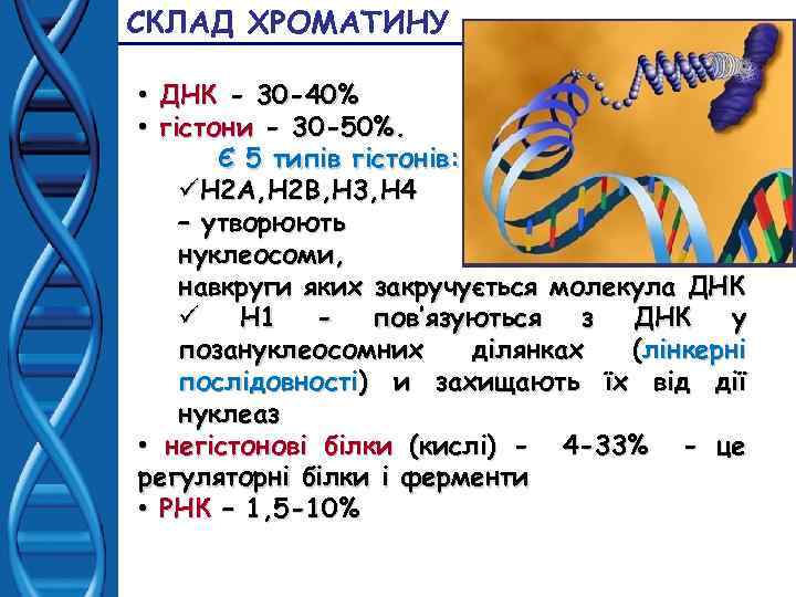 СКЛАД ХРОМАТИНУ • ДНК - 30 -40% • гістони - 30 -50%. Є 5