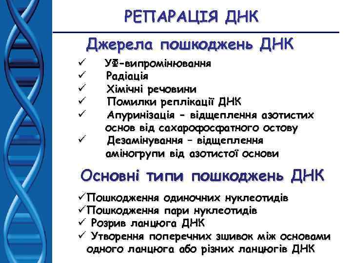 РЕПАРАЦІЯ ДНК Джерела пошкоджень ДНК ü УФ-випромінювання ü Радіація ü Хімічні речовини ü Помилки