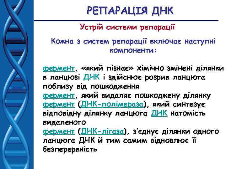 РЕПАРАЦІЯ ДНК Устрій системи репарації Кожна з систем репарації включає наступні компоненти: фермент, «який