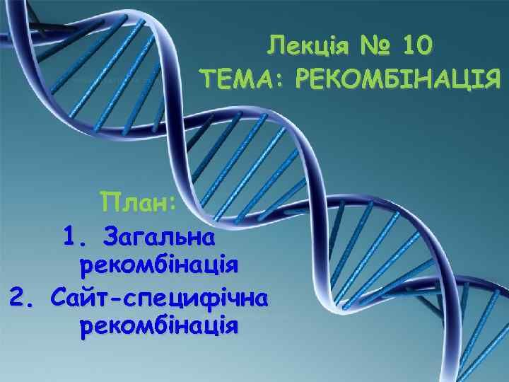 Лекція № 10 ТЕМА: РЕКОМБІНАЦІЯ План: 1. Загальна рекомбінація 2. Сайт-специфічна рекомбінація 