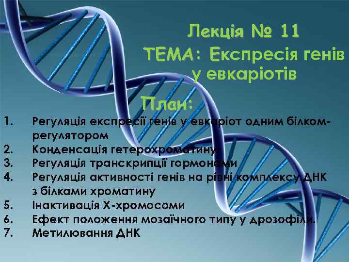 Лекція № 11 ТЕМА: Експресія генів Е у евкаріотів 1. 2. 3. 4. 5.