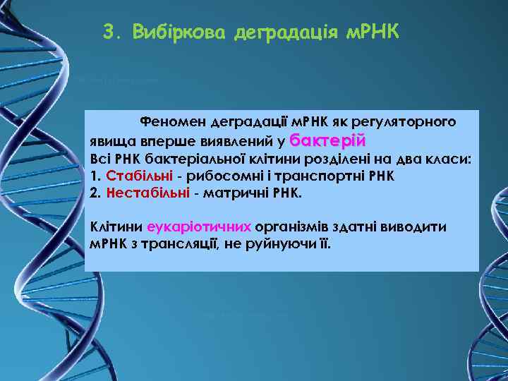 3. Вибіркова деградація м. РНК Феномен деградації м. РНК як регуляторного явища вперше виявлений
