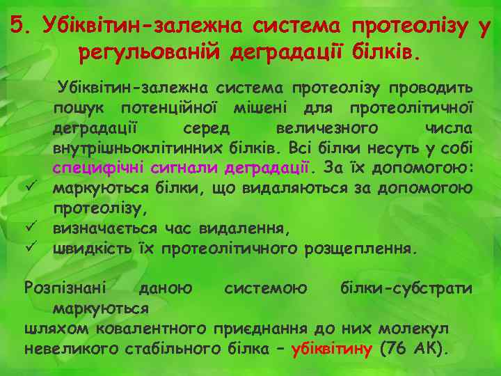 5. Убіквітин-залежна система протеолізу у регульованій деградації білків. Убіквітин-залежна система протеолізу проводить пошук потенційної