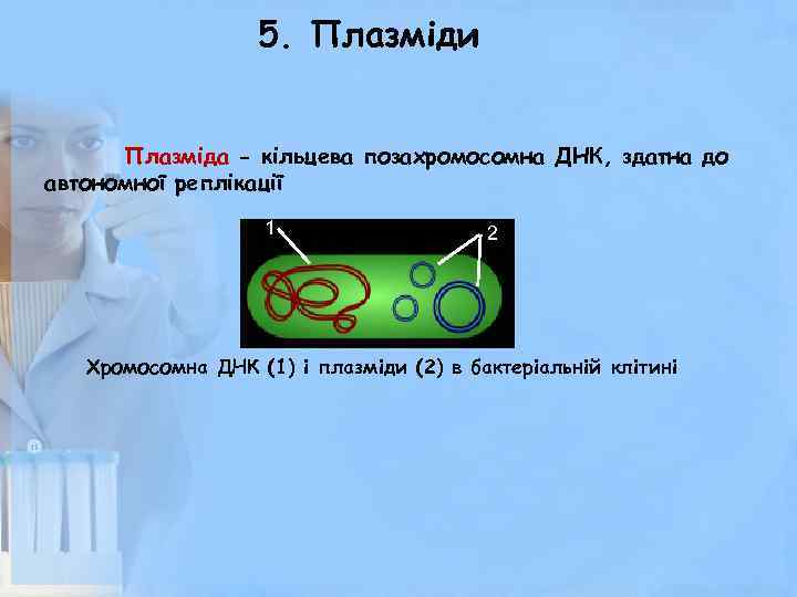 5. Плазміди Плазміда - кільцева позахромосомна ДНК, здатна до автономної реплікації 1 2 Хромосомна