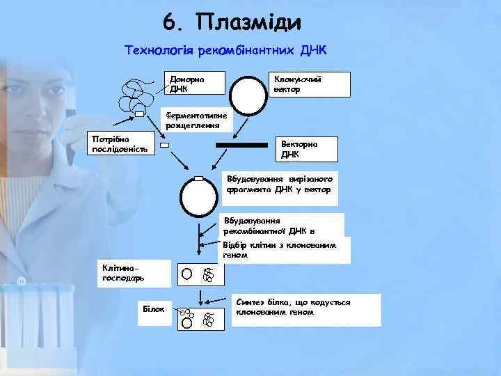 6. Плазміди Технологія рекомбінантних ДНК Донорна ДНК Клонуючий вектор Ферментативне розщеплення Потрібна послідовність Векторна