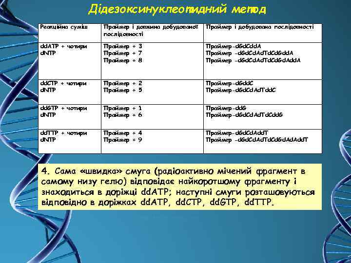 Дідезоксинуклеотидний метод Реакційна суміш Праймер і довжина добудованої послідовності Праймер і добудована послідовності dd.
