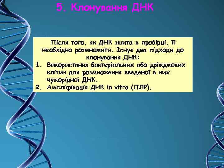 5. Клонування ДНК Після того, як ДНК зшита в пробірці, її необхідно розмножити. Існує
