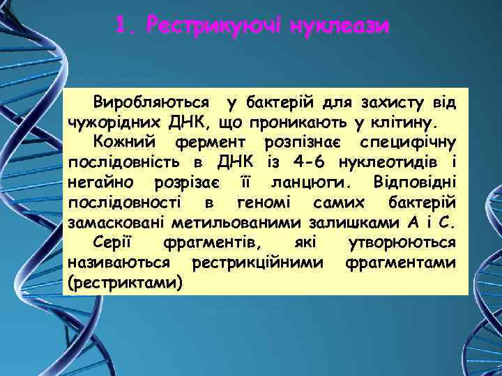 1. Рестрикуючі нуклеази Виробляються у бактерій для захисту від чужорідних ДНК, що проникають у