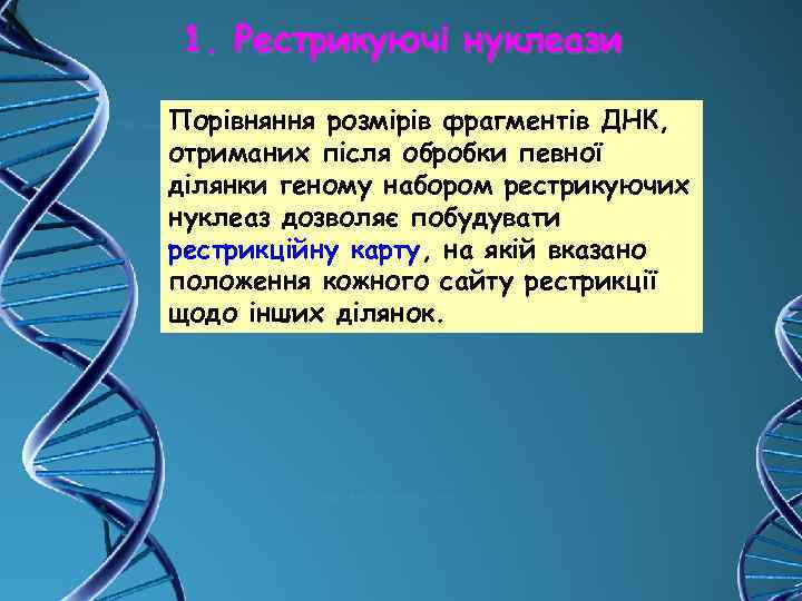 1. Рестрикуючі нуклеази Порівняння розмірів фрагментів ДНК, отриманих після обробки певної ділянки геному набором