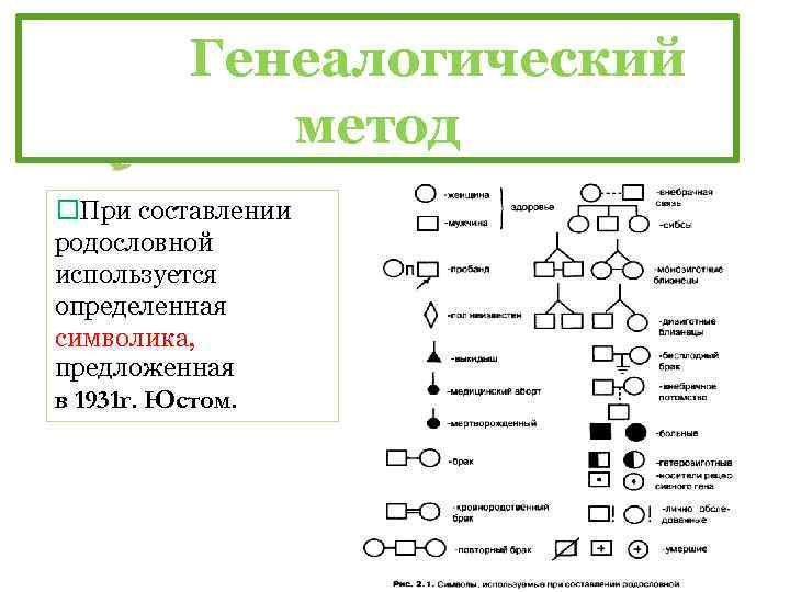 В медицинской генетике широко используется генеалогический метод используя предложенную схему