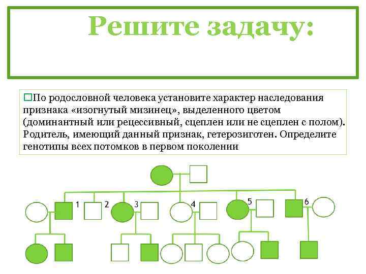 Решите задачу: По родословной человека установите характер наследования признака «изогнутый мизинец» , выделенного цветом