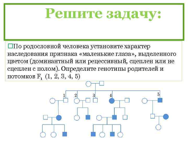 Решите задачу: По родословной человека установите характер наследования признака «маленькие глаза» , выделенного цветом