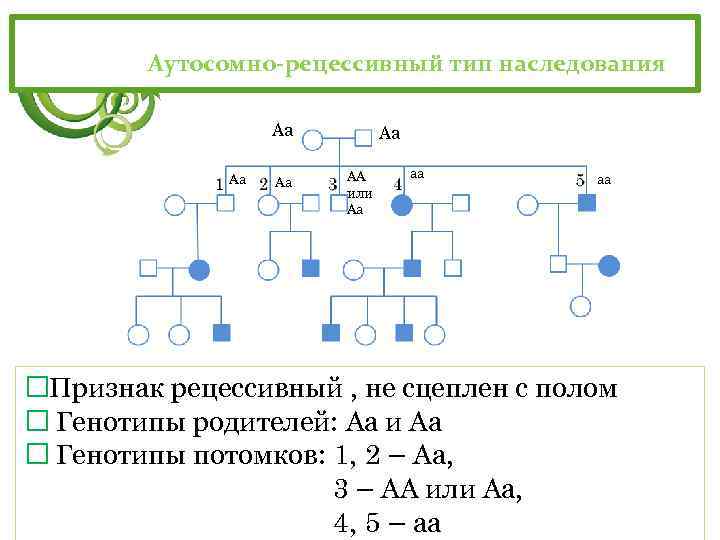 Х рецессивный. Признаки аутосомно-рецессивного наследования. Признаки аутосомно-рецессивного типа наследования. Родословные аутосомно-рецессивный Тип наследования признаков. 1.Аутосомно-рецессивный Тип наследования..