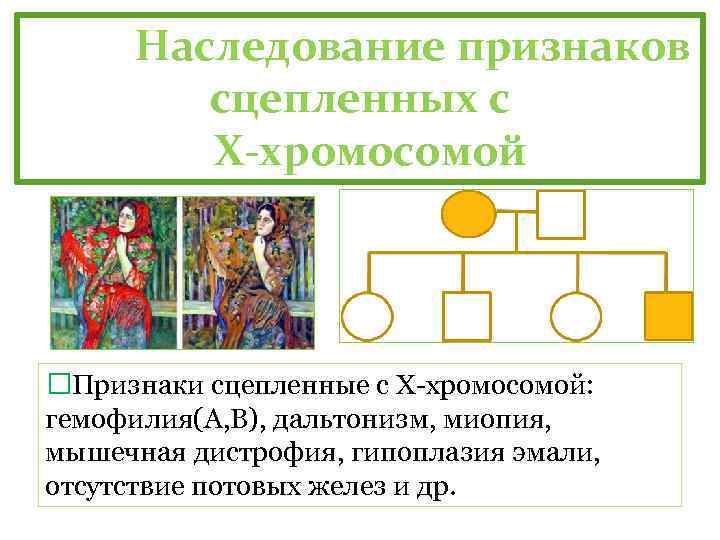 Отсутствие потовых желез сцеплен с полом