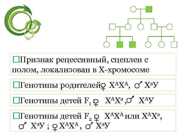  Признак рецессивный, сцеплен с полом, локализован в Х-хромосоме Генотипы родителей: ХАХA, Ха. У