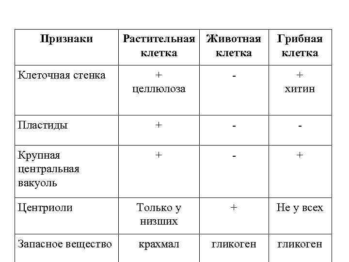 Признаки Клеточная стенка Растительная Животная клетка Грибная клетка + целлюлоза - + хитин Пластиды