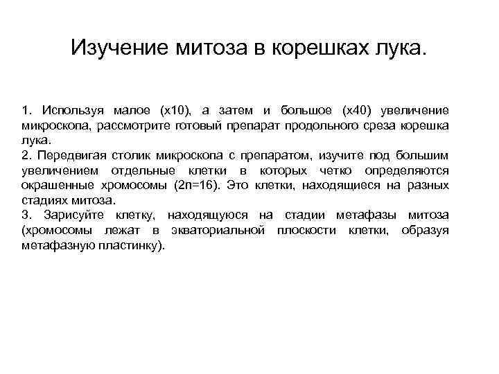 Изучение митоза в корешках лука. 1. Используя малое (х10), а затем и большое (х40)