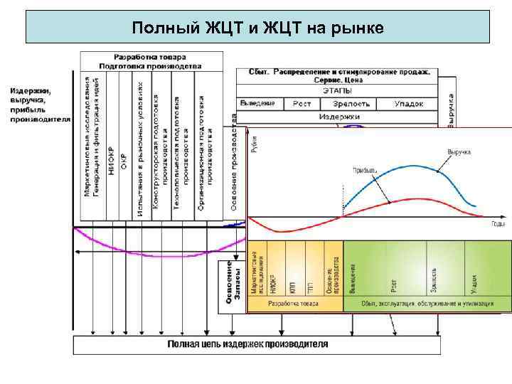 Полный ЖЦТ и ЖЦТ на рынке 