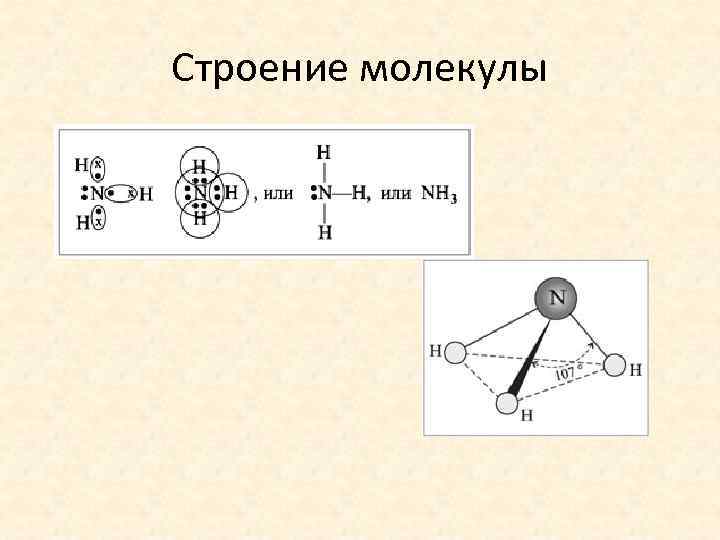 Строение молекулы 