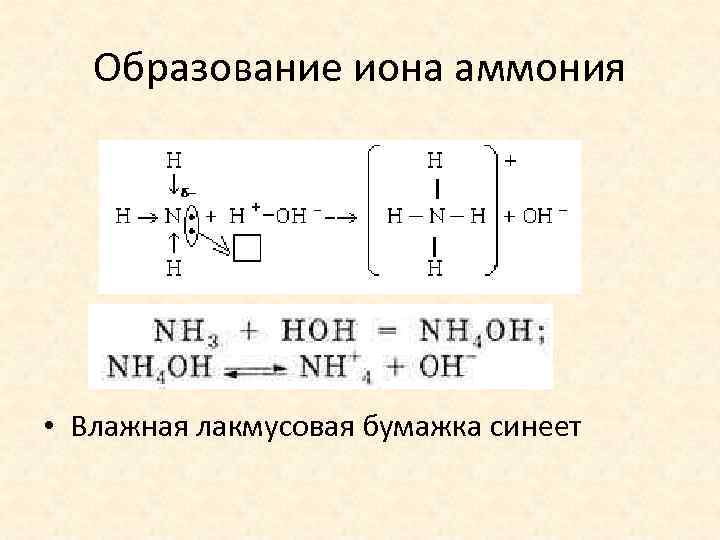 Образование иона аммония • Влажная лакмусовая бумажка синеет 