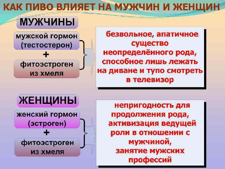 КАК ПИВО ВЛИЯЕТ НА МУЖЧИН И ЖЕНЩИН 