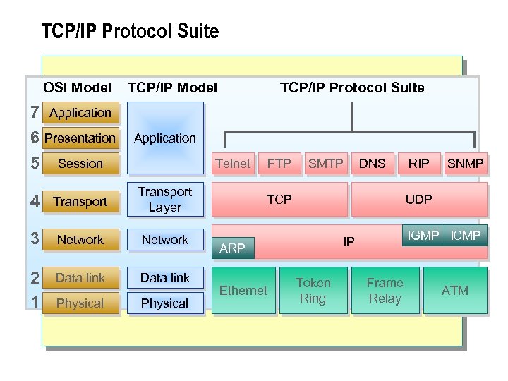 TCP/IP Protocol Suite OSI Model 7 Application 6 Presentation 5 Session TCP/IP Model TCP/IP