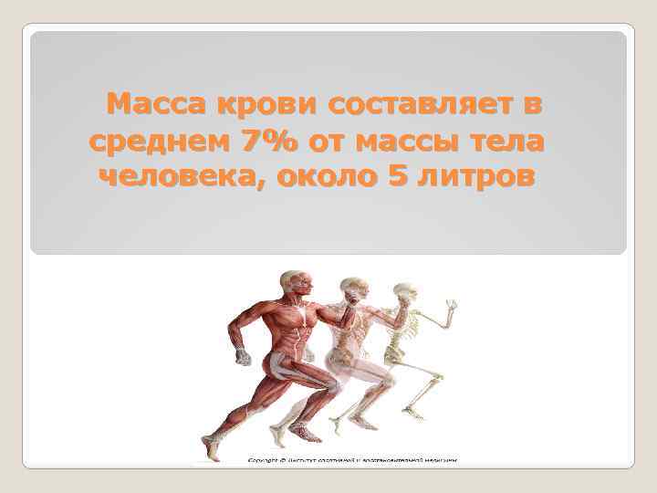  Масса крови составляет в среднем 7% от массы тела человека, около 5 литров