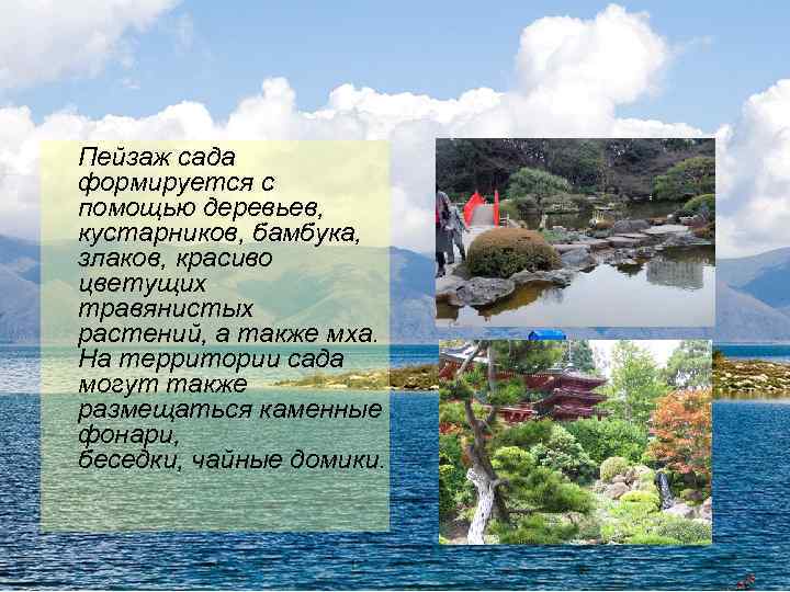  Пейзаж сада формируется с помощью деревьев, кустарников, бамбука, злаков, красиво цветущих травянистых растений,