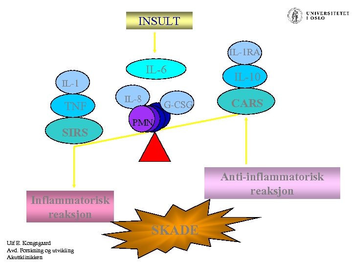 INSULT IL-1 RA IL-6 IL-1 TNF SIRS IL-8 G-CSG CARS PMN Anti-inflammatorisk reaksjon Inflammatorisk