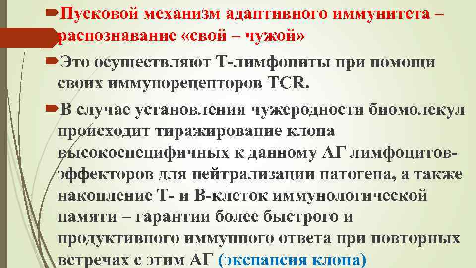  Пусковой механизм адаптивного иммунитета – распознавание «свой – чужой» Это осуществляют Т-лимфоциты при