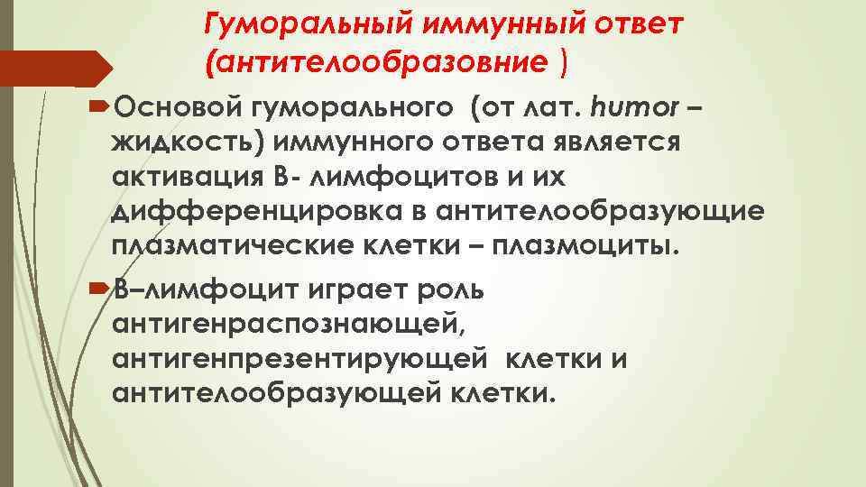 Гуморальный иммунный ответ (антителообразовние ) Основой гуморального (от лат. humor – жидкость) иммунного ответа