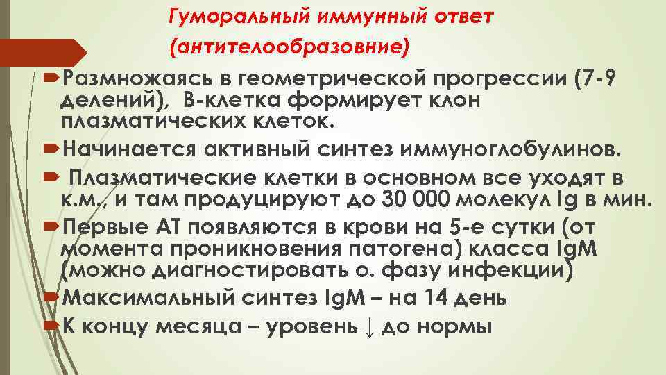 Гуморальный иммунный ответ (антителообразовние) Размножаясь в геометрической прогрессии (7 -9 делений), В-клетка формирует клон