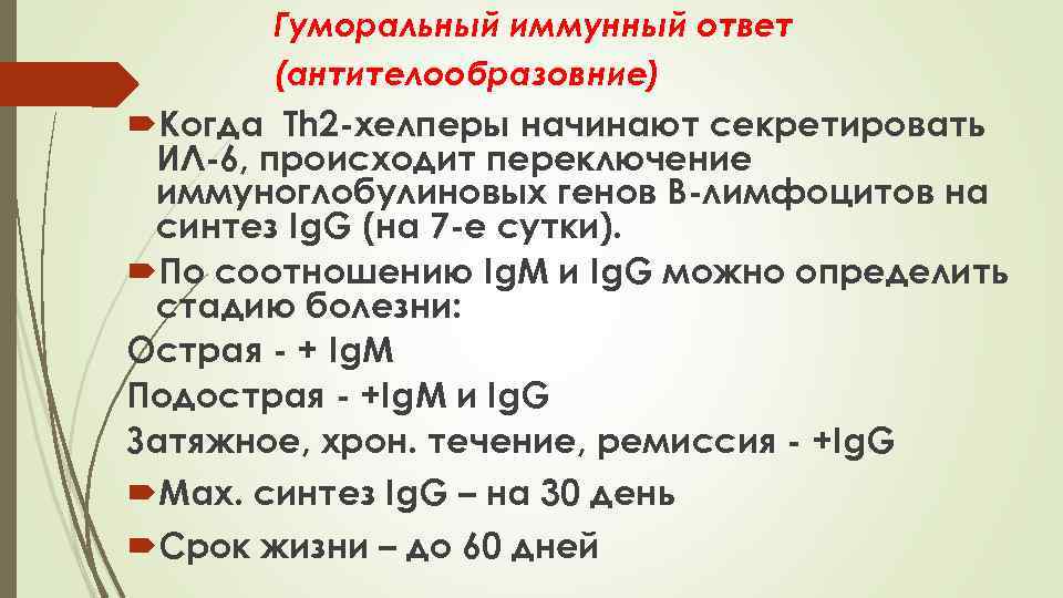 Гуморальный иммунный ответ (антителообразовние) Когда Тh 2 -хелперы начинают секретировать ИЛ-6, происходит переключение иммуноглобулиновых