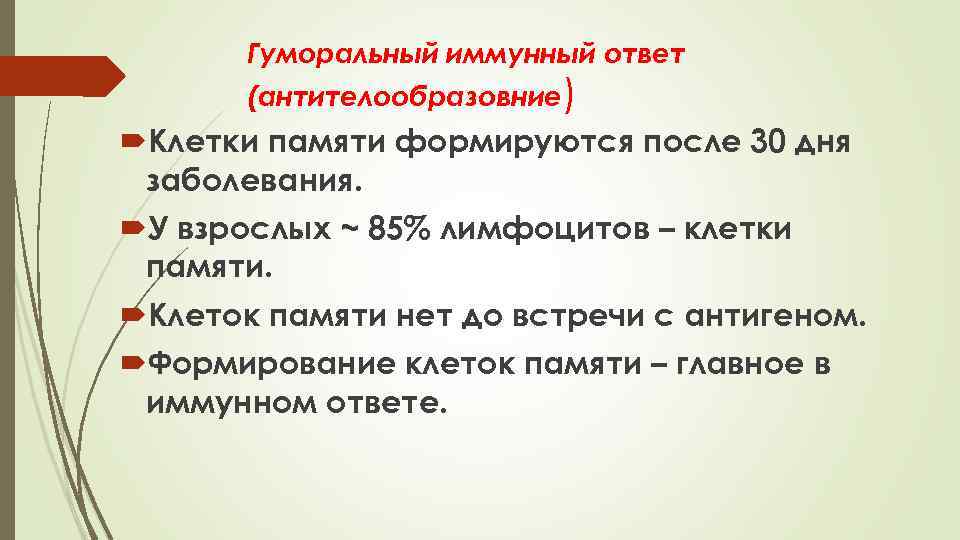 Гуморальный иммунный ответ (антителообразовние) Клетки памяти формируются после 30 дня заболевания. У взрослых ~