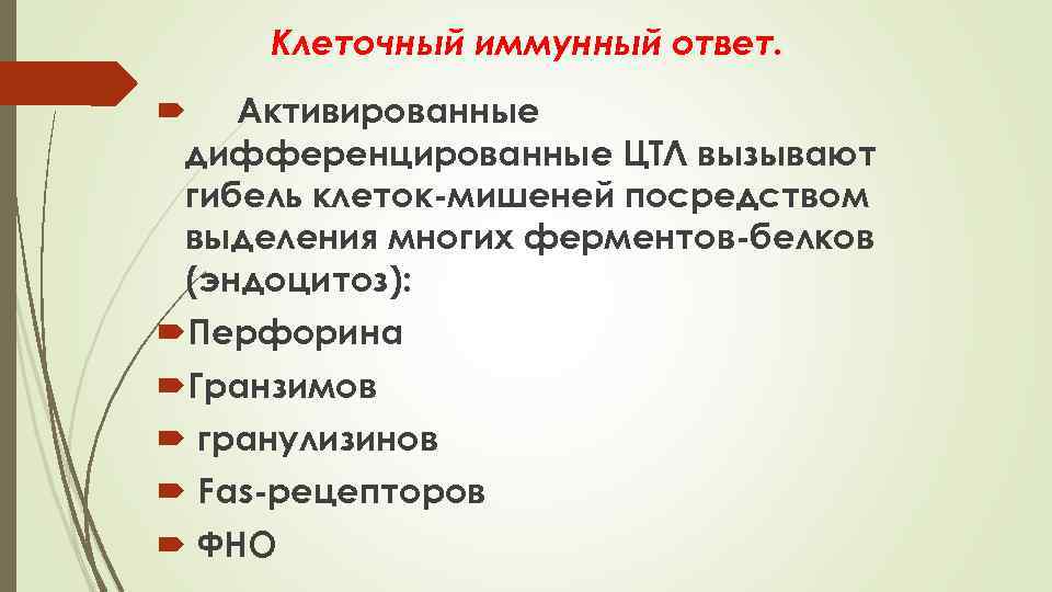 Клеточный иммунный ответ. Активированные дифференцированные ЦТЛ вызывают гибель клеток-мишеней посредством выделения многих ферментов-белков (эндоцитоз):