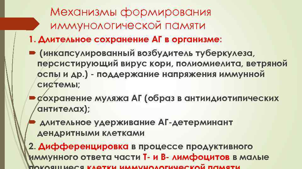 Механизмы формирования иммунологической памяти 1. Длительное сохранение АГ в организме: (инкапсулированный возбудитель туберкулеза, персистирующий
