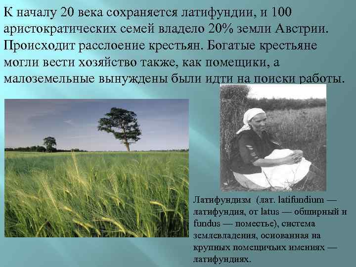 К началу 20 века сохраняется латифундии, и 100 аристократических семей владело 20% земли Австрии.