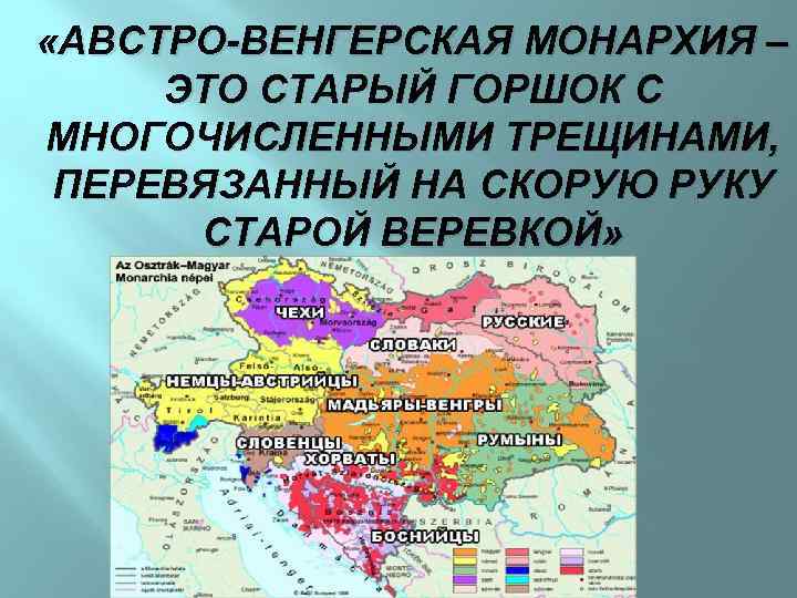  «АВСТРО-ВЕНГЕРСКАЯ МОНАРХИЯ – ЭТО СТАРЫЙ ГОРШОК С МНОГОЧИСЛЕННЫМИ ТРЕЩИНАМИ, ПЕРЕВЯЗАННЫЙ НА СКОРУЮ РУКУ