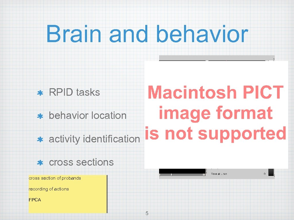 Brain and behavior RPID tasks behavior location activity identification cross sections cross section of