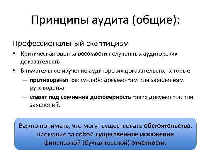 Критическая оценка. Принцип профессионального скептицизма. Принцип скептицизма в аудите. Профессиональный скептицизм аудитора это. Критическая оценка доказательств.