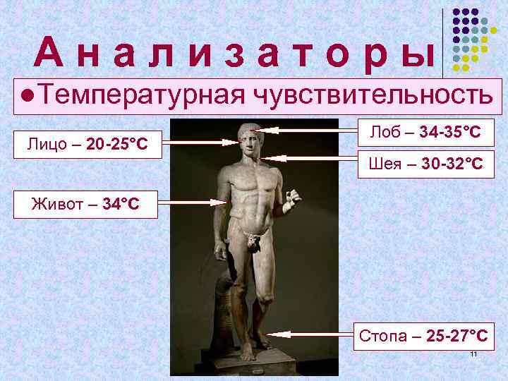 А н а л и з а т о р ы ●Температурная чувствительность Лицо