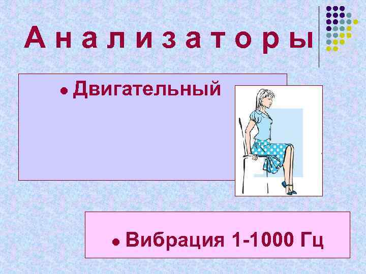 А н а л и з а т о р ы ● Двигательный ●