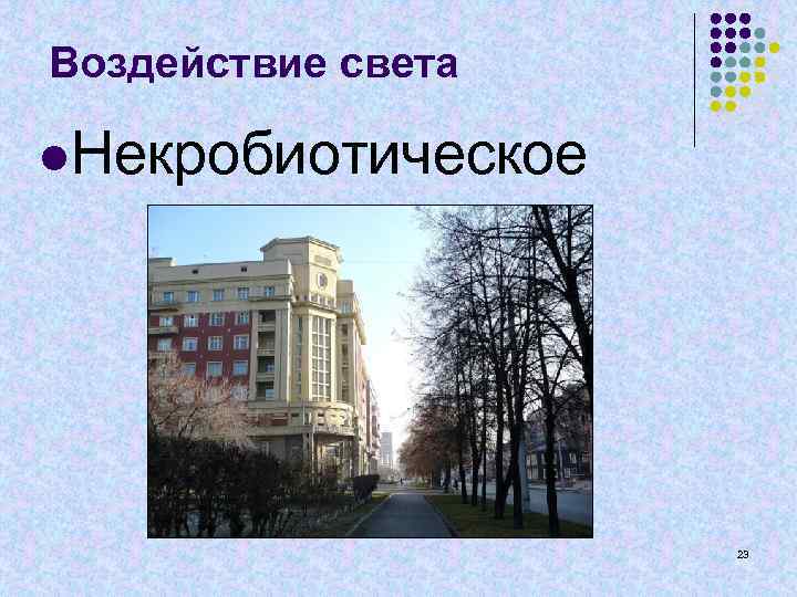 Воздействие света l. Некробиотическое 23 