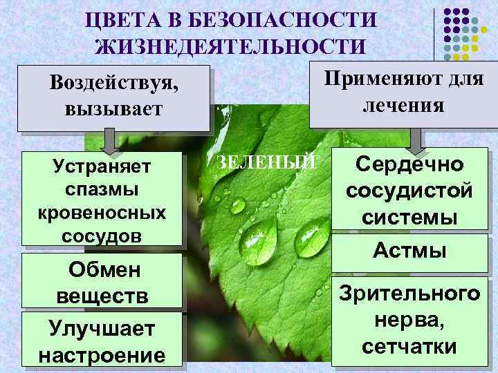 ЦВЕТА В БЕЗОПАСНОСТИ ЖИЗНЕДЕЯТЕЛЬНОСТИ Применяют для Воздействуя, лечения вызывает Устраняет спазмы кровеносных сосудов Обмен