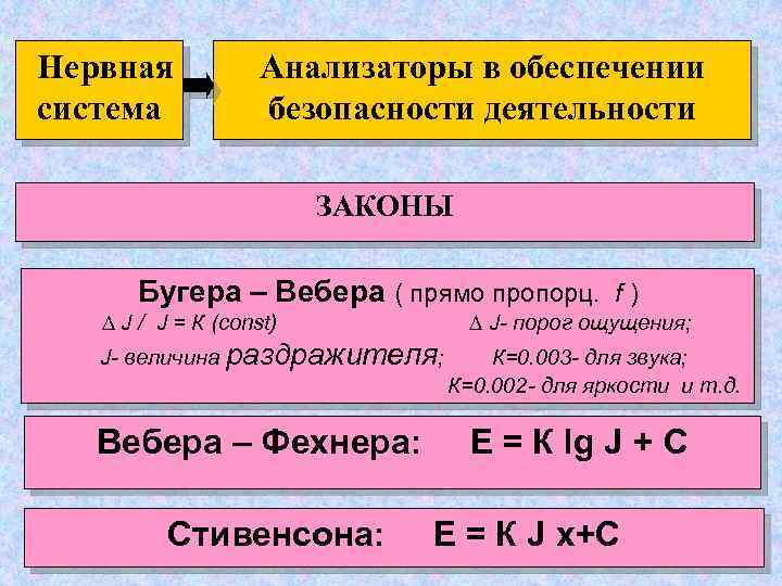 Нервная система Анализаторы в обеспечении безопасности деятельности ПОРОГ ОЩУЩЕНИЯ ЗАКОНЫ величина раздражителя, вызывающего или